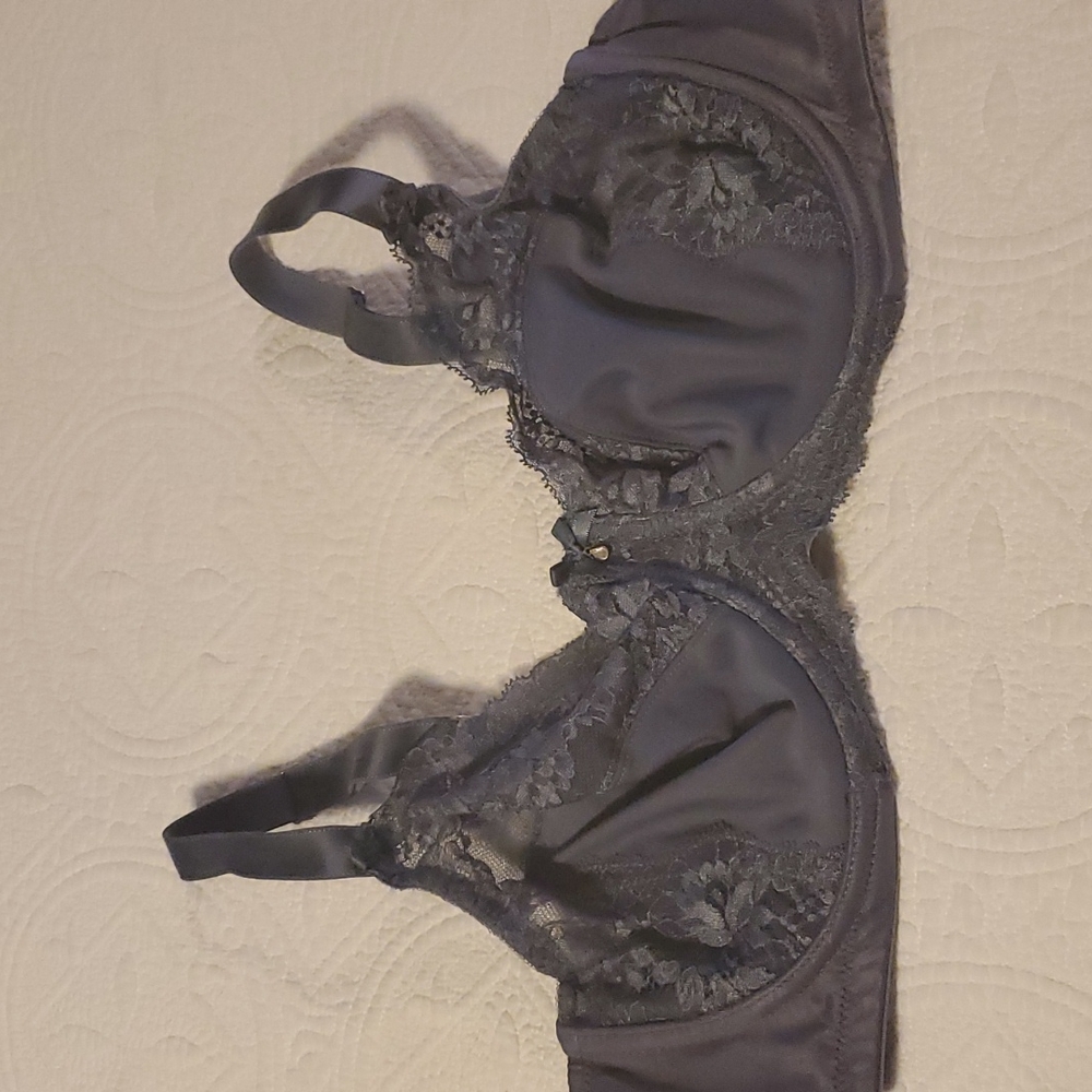 Unlined Gray Lacy Bra, Size 40C
